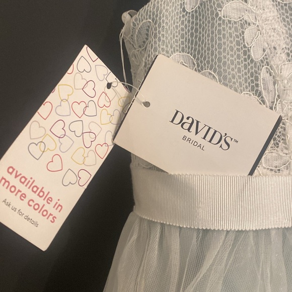 Girls dusty blue lace and Thule Party Dress - sz8 - Picture 5 of 6